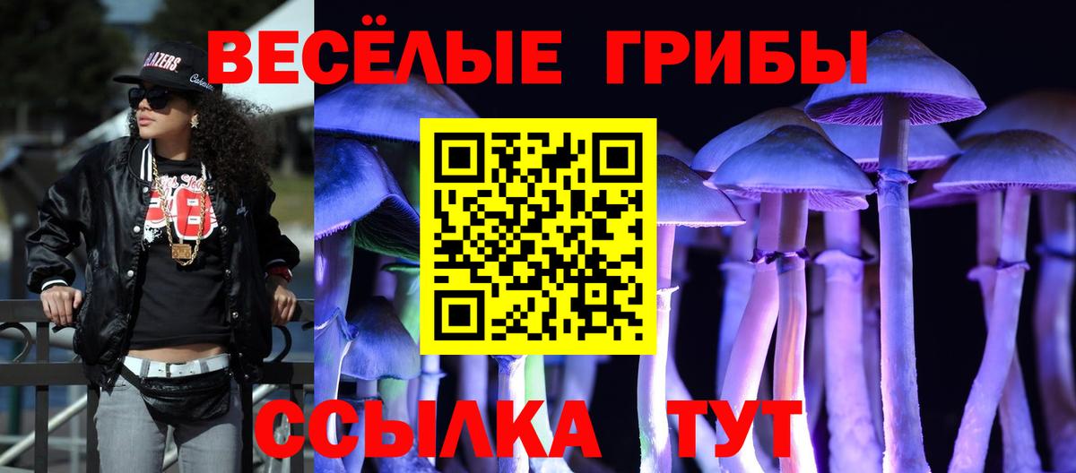 Галлюциногенные грибы Magic Shrooms  Псилоцибиновые грибы GOLDEN TEACHER  наркошоп  Кумертау  Вход с VPN 