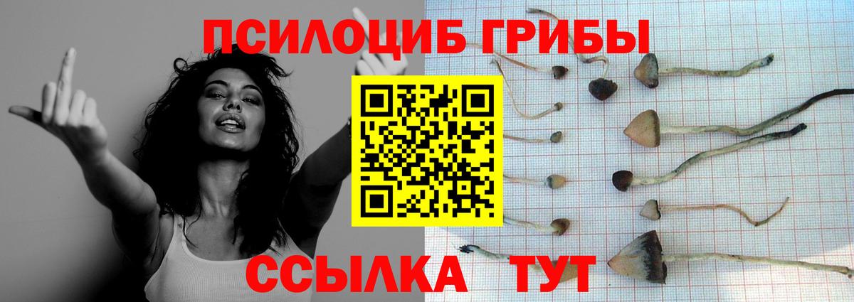 Галлюциногенные грибы Magic Shrooms Кумертау